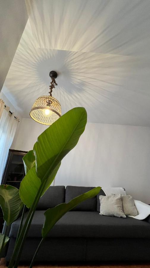 Appartement Piso Tarifa Centro, Cerca De La Playa Extérieur photo