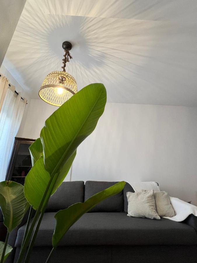 Appartement Piso Tarifa Centro, Cerca De La Playa Extérieur photo